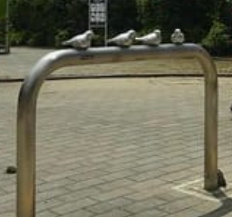 事務局だより⑪